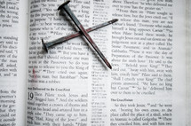 nails on the pages of a Bible 