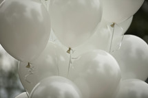 white helium balloons 