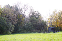 shed, picnic bench, and logs on green grass and fall trees 