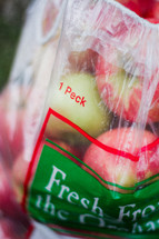 apples in a bag under a tree 