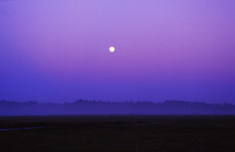 full moon in a purple sky 