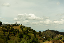 green slopes in Kenya  