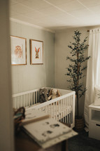 a baby girl's nursery