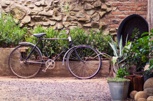 bicycle parked in a garden 