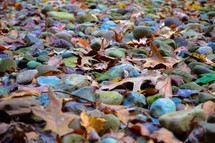 fall leaves on stones  