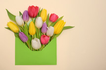 tulips in an envelope 