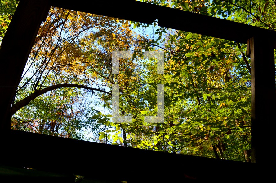 Wooden frame with autumn trees in the background