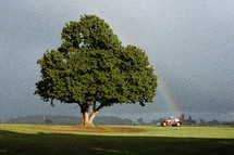 tractor and rainbow on farmland 