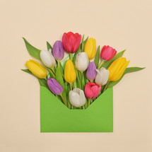 colorful tulips in an envelope 