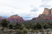 red rock canyon landscape  