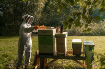 Beekeeping suit, honey bees, beekeeper, bee keeper, wooden bee boxes, hives, farming,