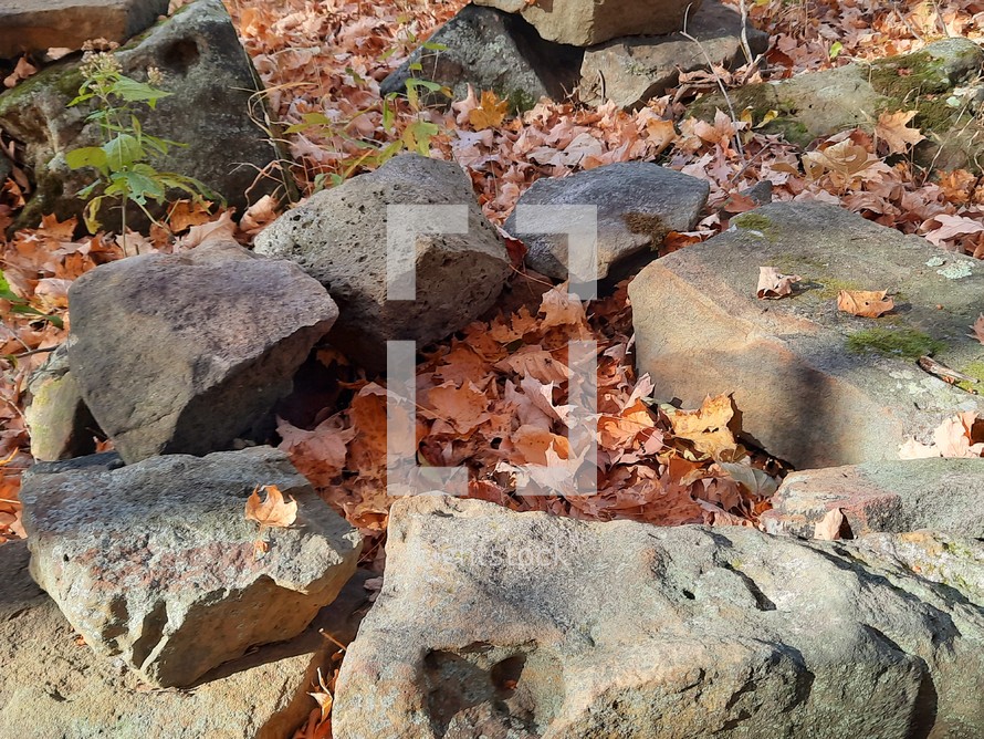Stone fire pit in the forest