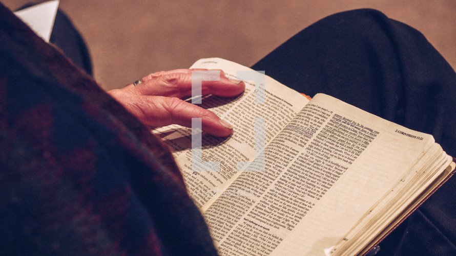 elderly person reading a Bible 