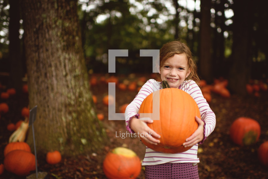 a girl child holding a pumpkin in a pumpkin patch 