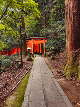 The Path For Meditation In Japan