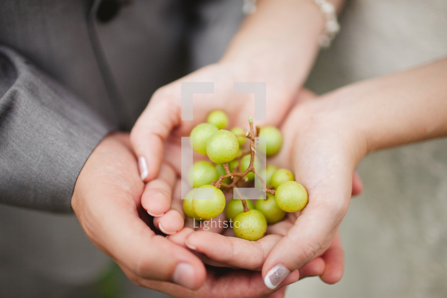 bride and groom holding muscadines 