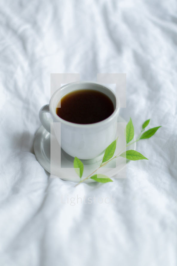 coffee cup, saucer, and sprig of a plant 