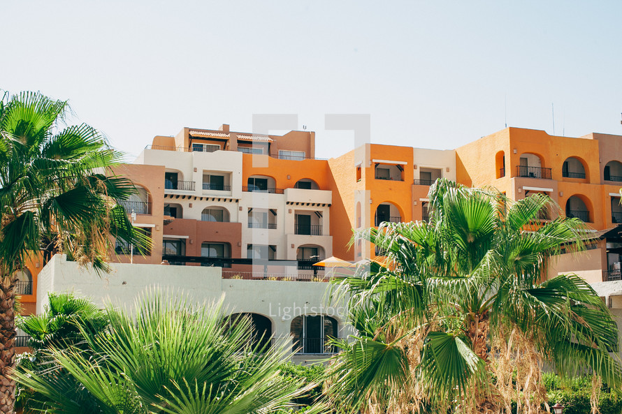 Village of homes and palm trees in Cabo San Lucas.