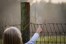 toddler girl pointing to a spider web 