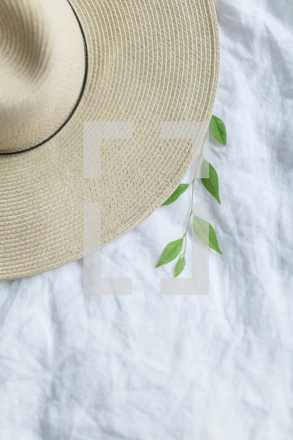 straw hat and plant sprig 