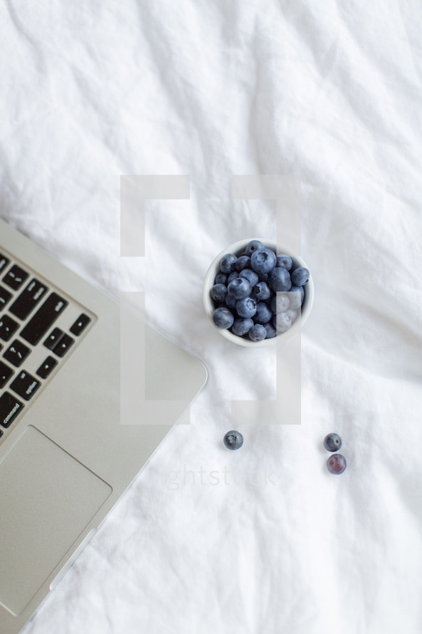 blueberries and laptop on a bed 