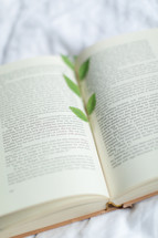 plant bookmark in a book 