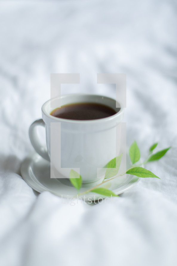 coffee cup, saucer, and twig 