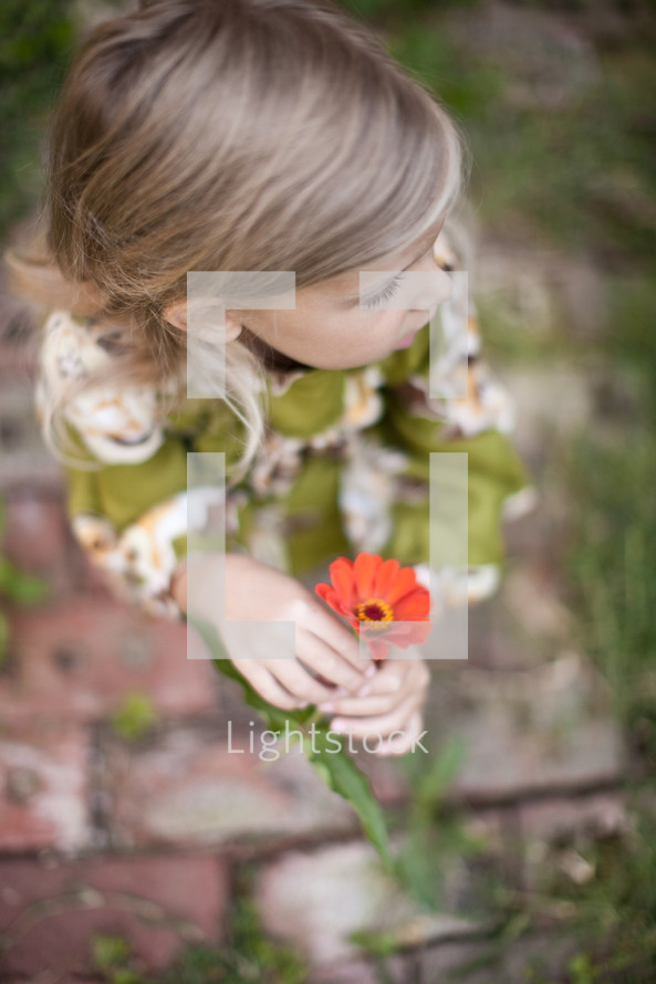 toddler girl picking a flower 