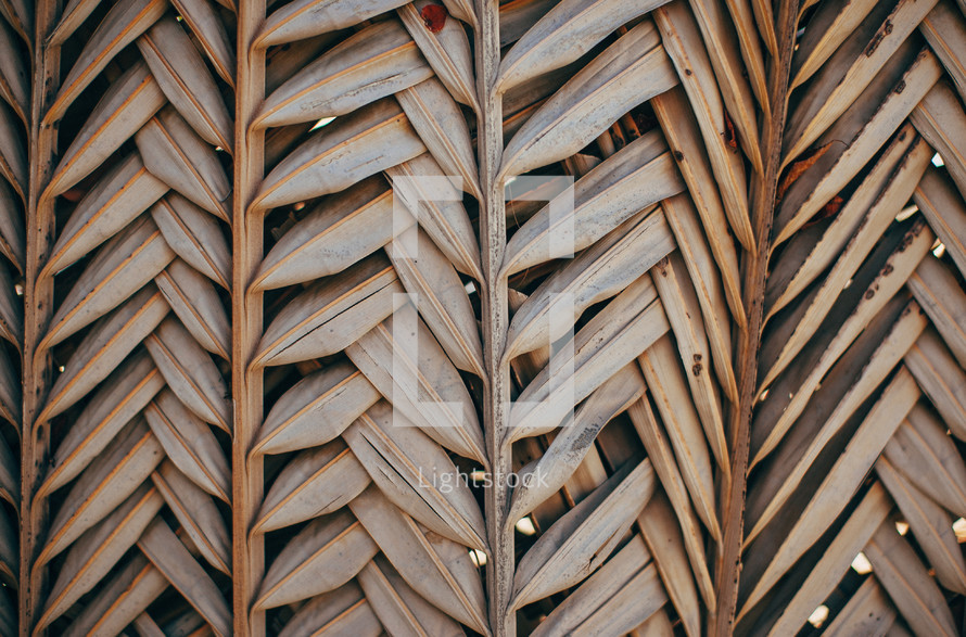 Dried palm leaves.