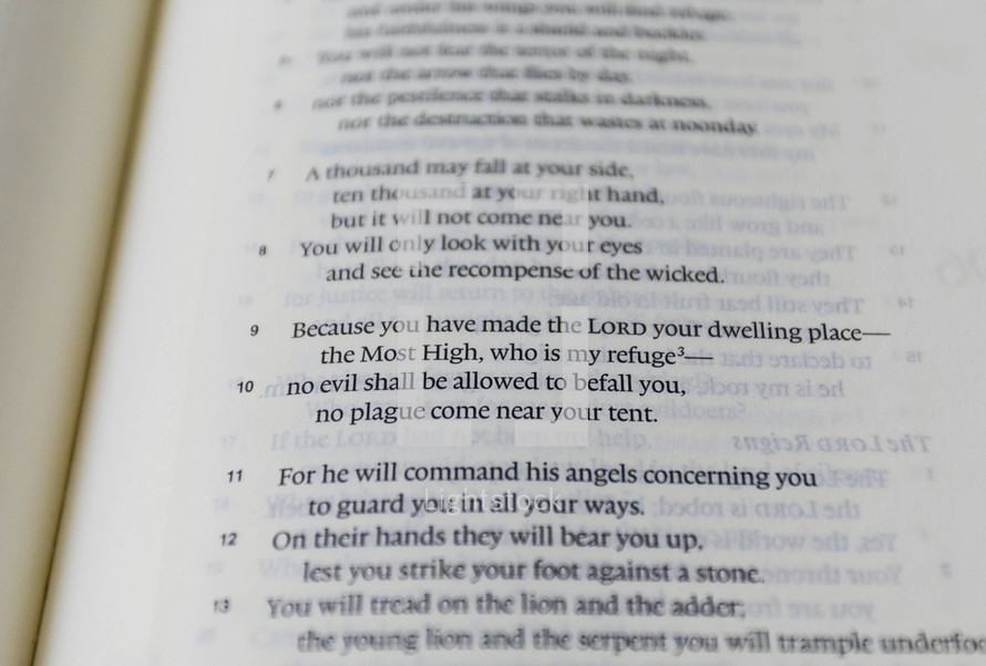 Bible verse - Psalm 91