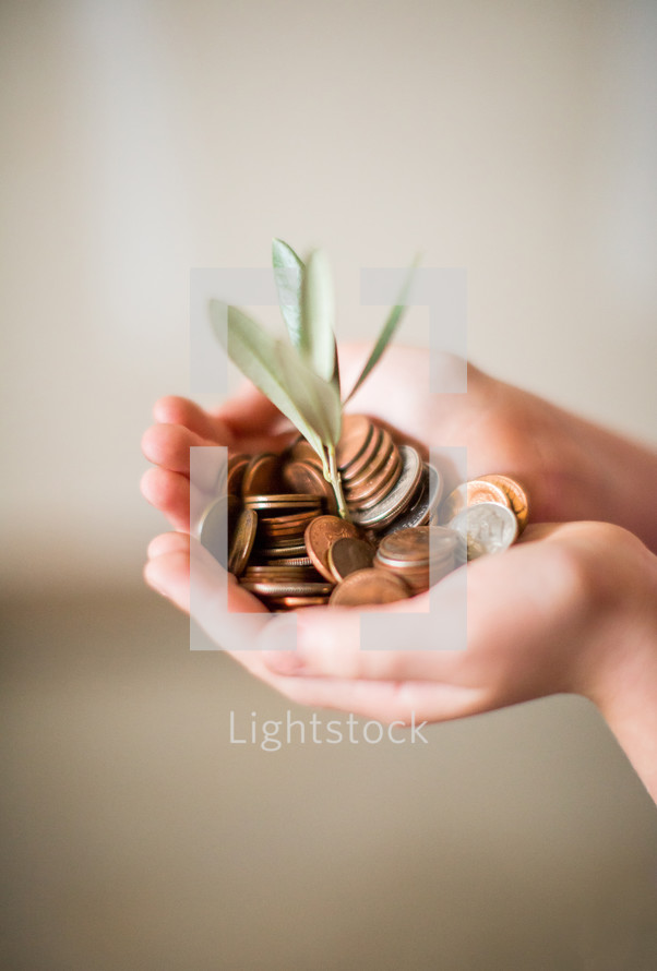 Cupped hands holding money growing a plant