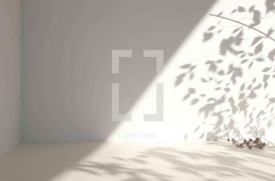 3d render of empty room with shadow on the wall and plant