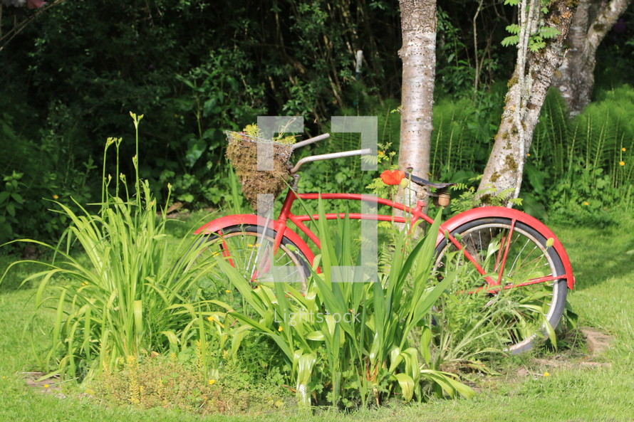 vintage red bicycle 