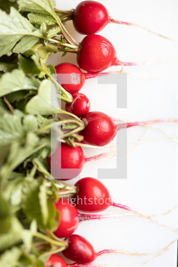 close up of radishes