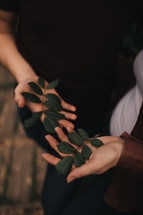 green leaves in hands 