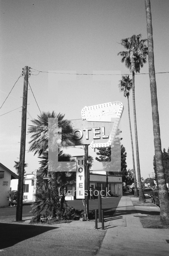 tall palm trees and motel sign 