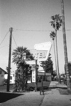 tall palm trees and motel sign 