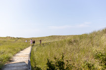 boardwalk over rolling hills covered in beach grass