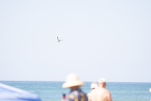 seagull flying above beachgoers