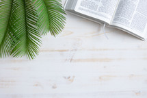 palm fronds and open BIble 