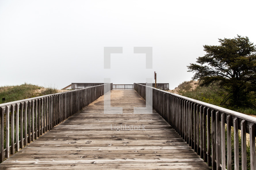 a boardwalk leading to a shore 