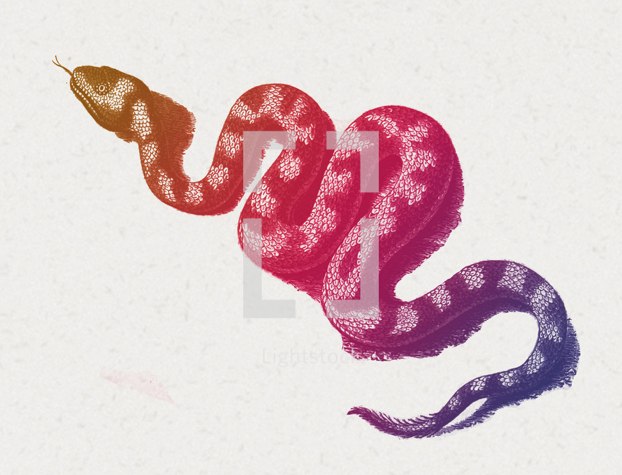 serpent 