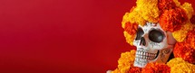 Day of the Dead, Dia de los Muertos, colorful sugar skull decorated with marigold flowers on red background with copy space. Concept of mexican tradition, celebration, offering, remembrance.