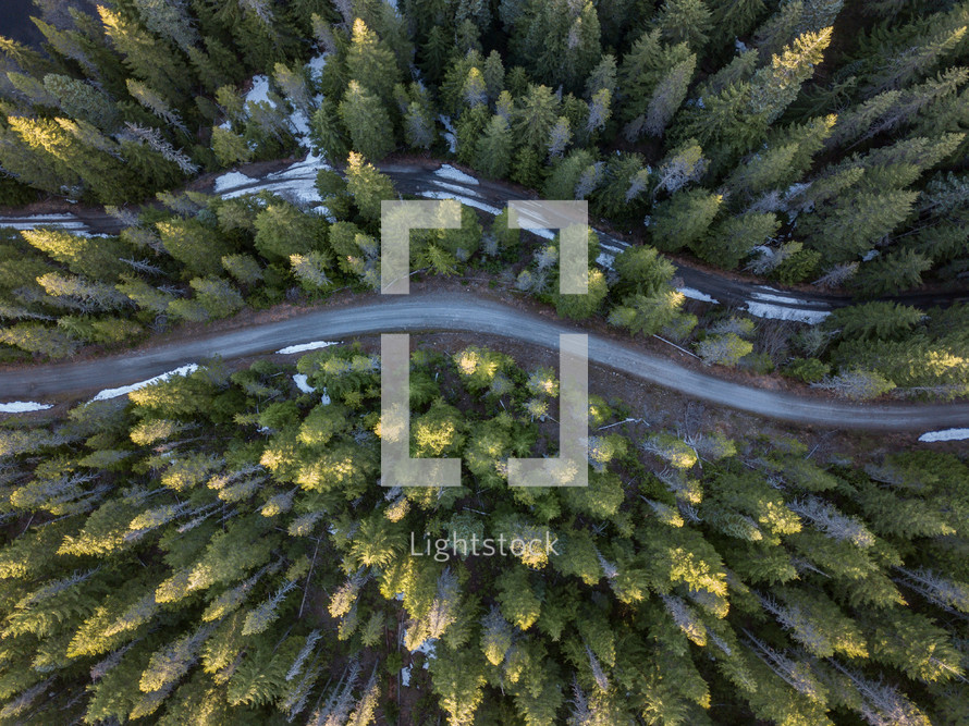 aerial view of a road through a forest 