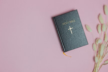 Bible on a pink background with fuzzy grasses 