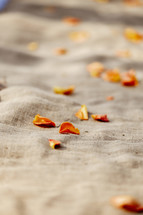 rose petals on burlap 