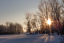 winter scene in morning sunlight 