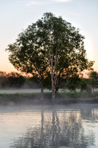 steam rising from a pond 