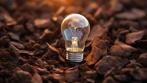 Light bulb on the ground. Conceptual image of idea and innovation.