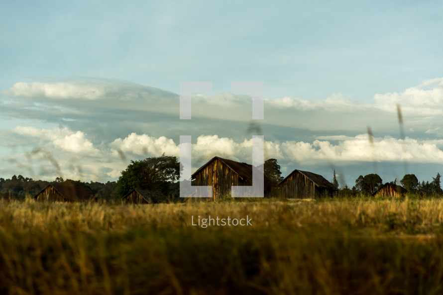 barns in a field in Kenya 
